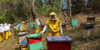 nueva-segovia-beekeeping-1