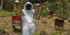 nueva-segovia-beekeeping-2