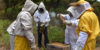 nueva-segovia-beekeeping-4