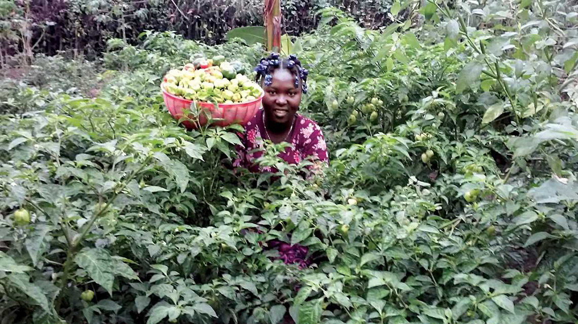 Haiti Rural Women’s Farming Program