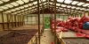 honduras-cocoa-project-1