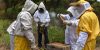 nueva-segovia-beekeeping-4