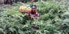 rural-women-1